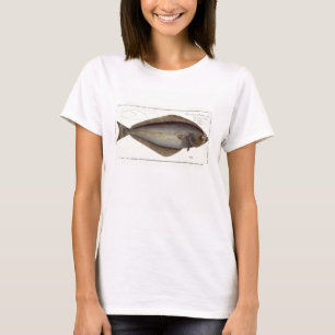 Camiseta Halibut (Pleuronectes Hippoglossus), placa XLVII p