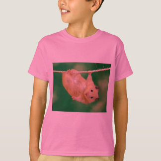 Camiseta hamster bobo