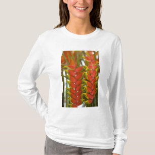 Camiseta Hanging Heliconia, Frutas de terça-feira semanal &