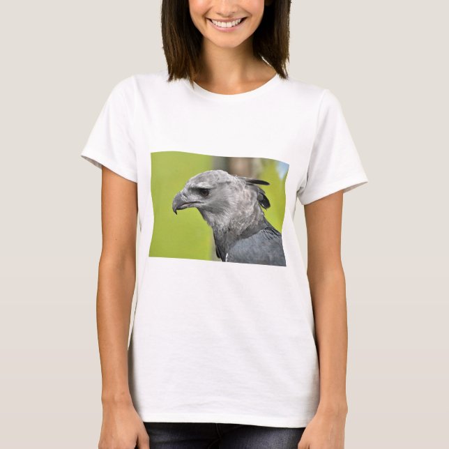 Camiseta Harpy Eagle 2.JPG (Frente)