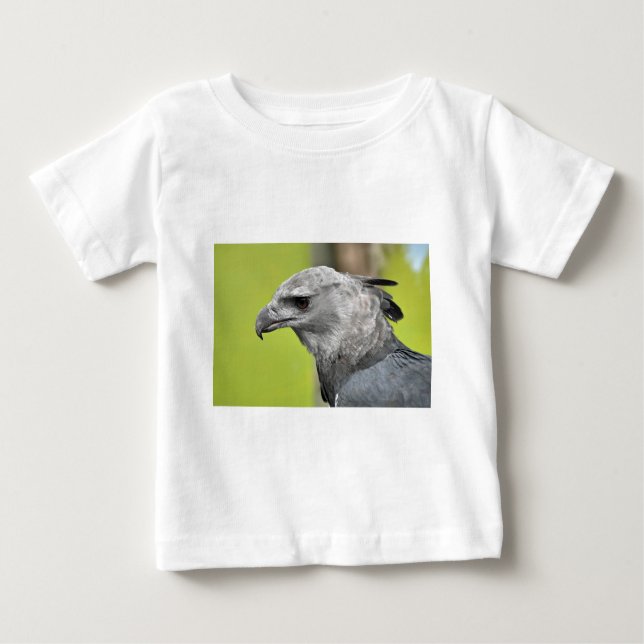 Camiseta Harpy Eagle 2.JPG (Frente)