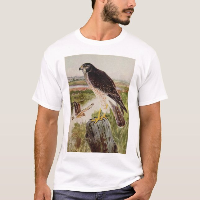 Camiseta Harrier do norte, 2 idades (Frente)