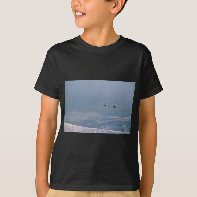 Camiseta Harrier Jump Jet (Frente)