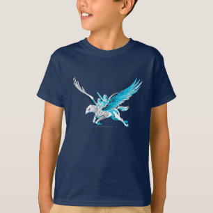 Camiseta Harry e Hermione em um Hippogriff