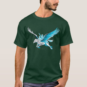 Camiseta Harry e Hermione em um Hippogriff