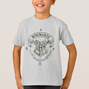 Camiseta Harry Potter  Bandeiras Hogwarts