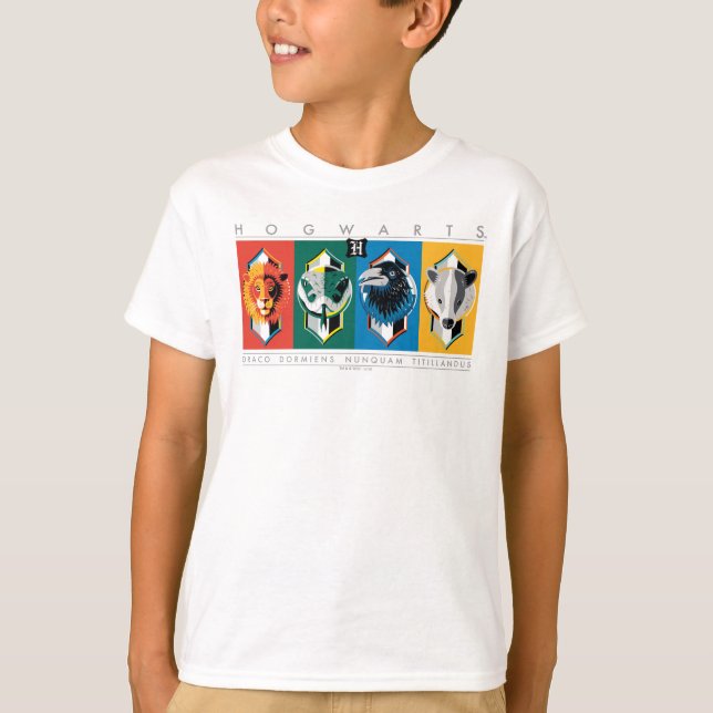 Camiseta Harry Potter | Brasões das Casas HOGWARTS™ (Frente)
