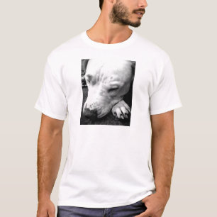 Camiseta harry potter cão-cicatriz, touro branco