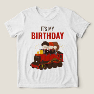 Camiseta HARRY POTTER™ Character Magical Arch Birthday