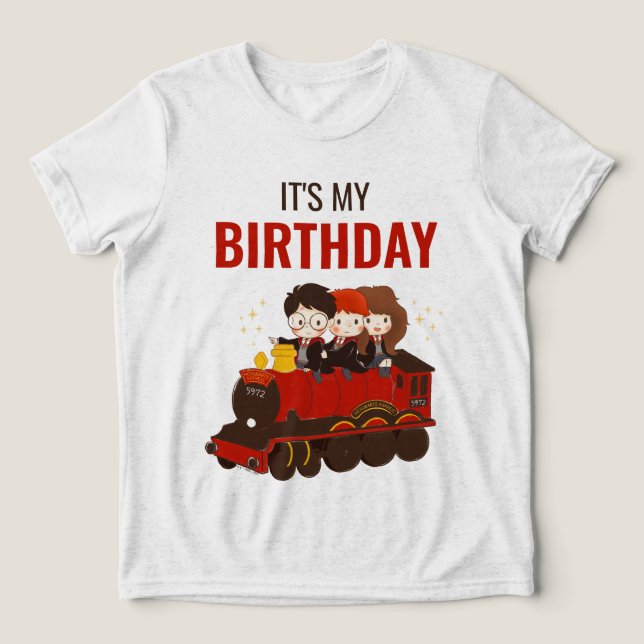 Camiseta HARRY POTTER™ Character Magical Arch Birthday (Design frontal)
