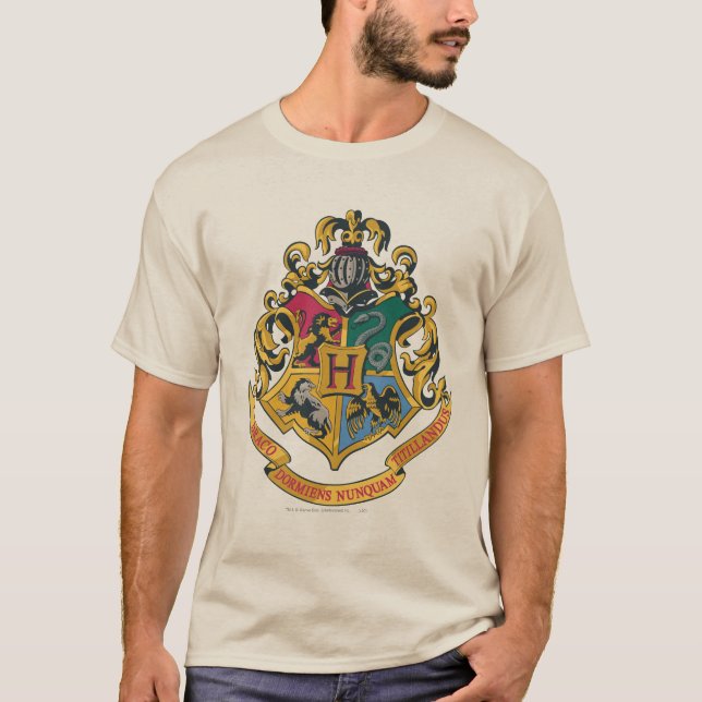 Camiseta Harry Potter| Cobertura Hogwarts - Cor do Cheio (Frente)