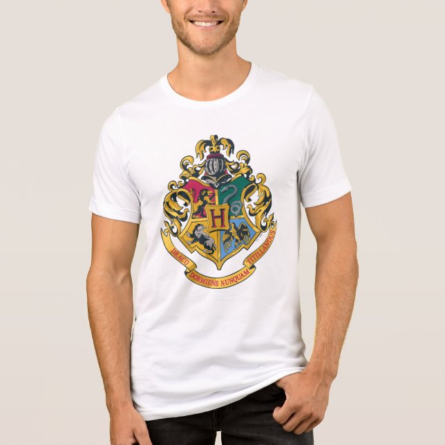 Camiseta Harry Potter| Cobertura Hogwarts - Cor do Cheio (Frente)