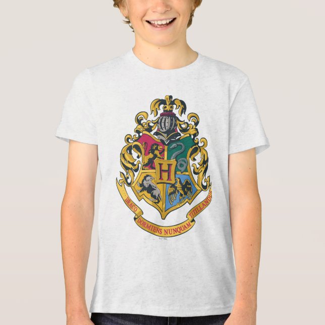 Camiseta Harry Potter| Cobertura Hogwarts - Cor do Cheio (Frente)