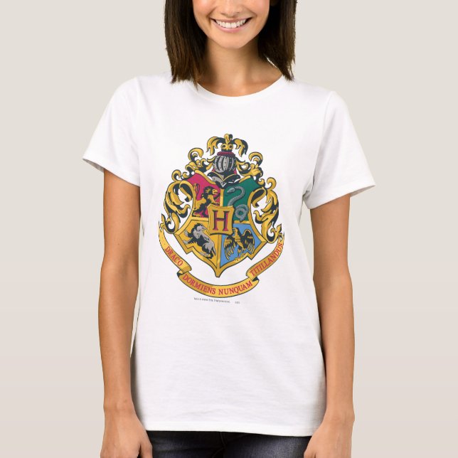Camiseta Harry Potter | Cobertura Hogwarts - Cor do Cheio (Frente)
