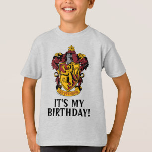 Camiseta Harry Potter   Grifinória - É Meu Aniversário
