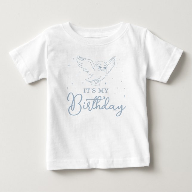 Camiseta Harry Potter Hedwig Azul Aniversário Mágico (Frente)
