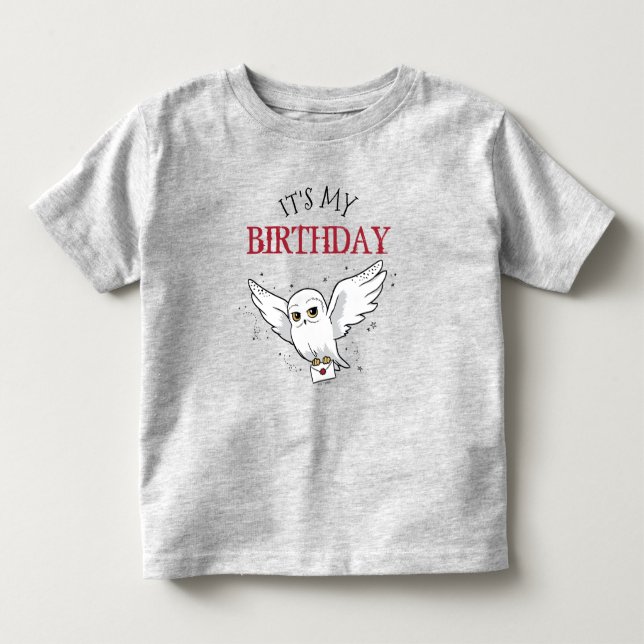 Camiseta Harry Potter Hedwig Entrega Especial Aniversário (Frente)