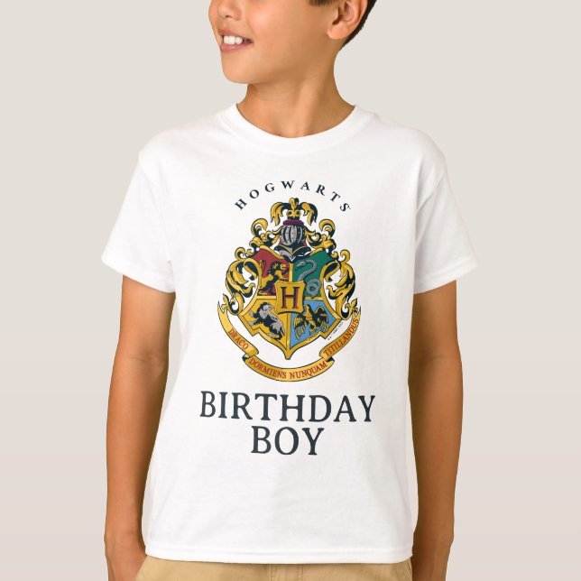 Camiseta Harry Potter | Hogwarts - Birthday Boy (Frente)
