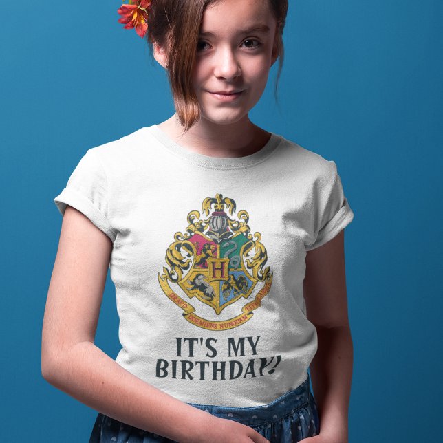 Camiseta Harry Potter | Hogwarts - É Meu Aniversário (Criador carregado)