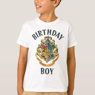Camiseta Harry Potter Menino do Aniversário de H