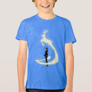 Camiseta HARRY POTTER™ Pintura do Patrono