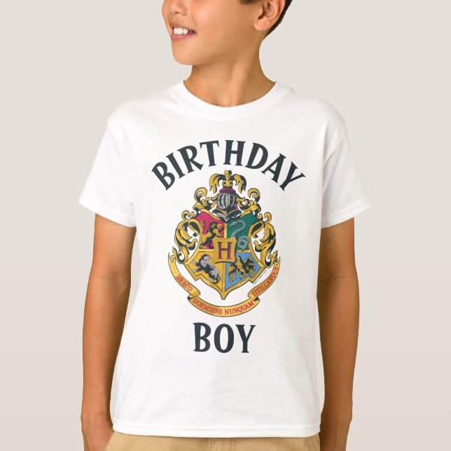 Camiseta Harry Potter | Shirt Hogwarts (Frente)