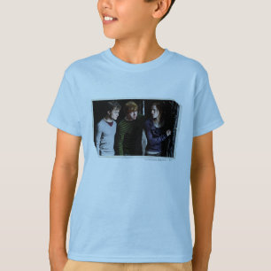 Camiseta Harry, Ron e Hermione 4