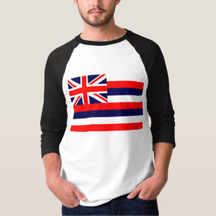 CAMISETA HAVAÍ/BANDEIRA HAVAIANA