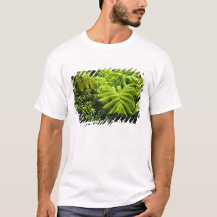 Camiseta Havaí, Ilha Grande, Vegetação tropical exuberante