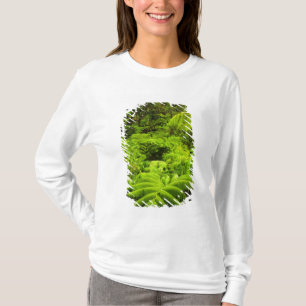 Camiseta Havaí, Ilha Grande, Vegetação tropical exuberante