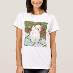 Camiseta Havanês n Poppies Art Impressão