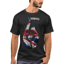 Hawaii Honu Tribal Hook HIFlag