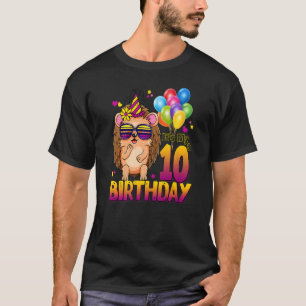 Camiseta Hedgehog 10.o Aniversário 10 anos