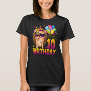 Camiseta Hedgehog 10.o Aniversário 10 anos