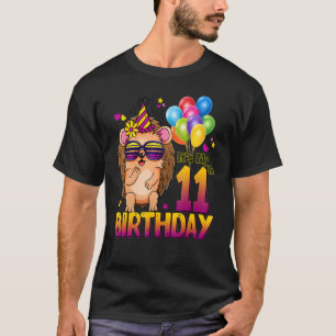 Camiseta Hedgehog 11 Birthday, 11 anos