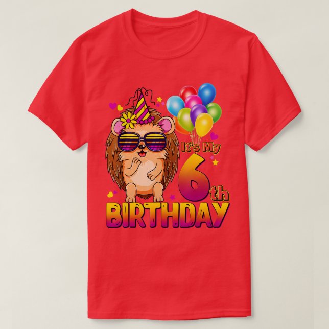 Camiseta Hedgehog 6th Birthday Shirt 6 Years Old Hedgehog B (Frente do Design)
