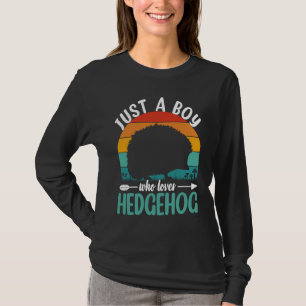 Camiseta Hedgehog Apenas Um Menino Que Ama Hedgehogs Retro 