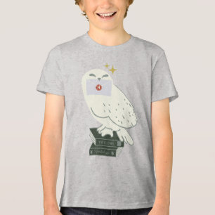 Camiseta Hedwig com Carta Desenho Caprichoso