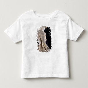 Camiseta Hercules que luta o Hydra de Lernaean