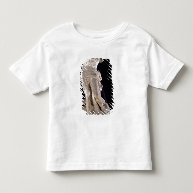 Camiseta Hercules que luta o Hydra de Lernaean (Frente)