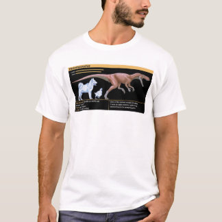 Camiseta Herrerasaurus - Dinosaur Biology Jurassic