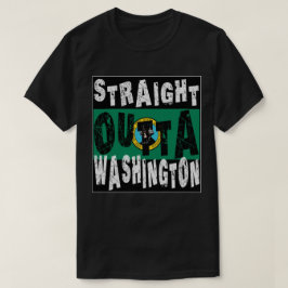 Camiseta HETERO PERSONALIZADO Fora do Meme Washington