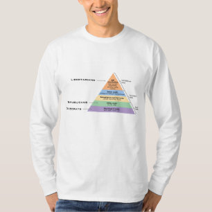 Camiseta Hierarquia da política