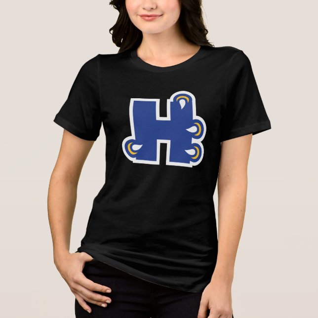 Camiseta Hilbert College H (Frente)
