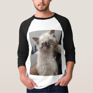 Camiseta Himalyan cat impressão Tshirt JN