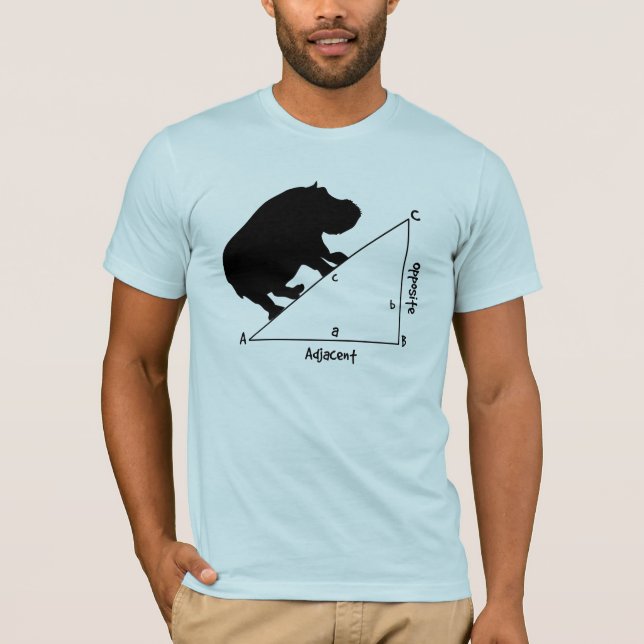 Camiseta Hippotenuse (Frente)