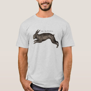 Camiseta História Natural Antiquada Arte A Lebre