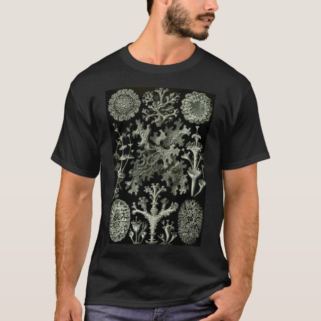 Camiseta História Natural Lichen (Frente)