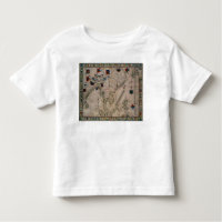 HM 41 o Extremo Oriente, de um atlas portolan