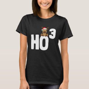 Camiseta Ho 3 Curvei Natal Ho Ho Ho Professor Ho3